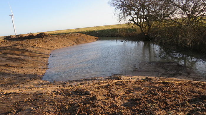new ditch pond