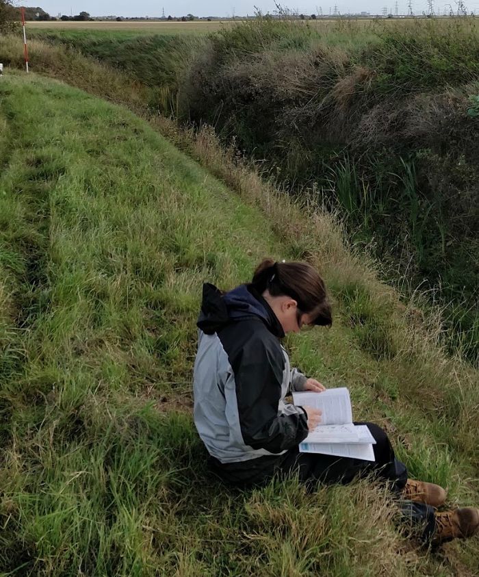 Surveying ditches for wildlife